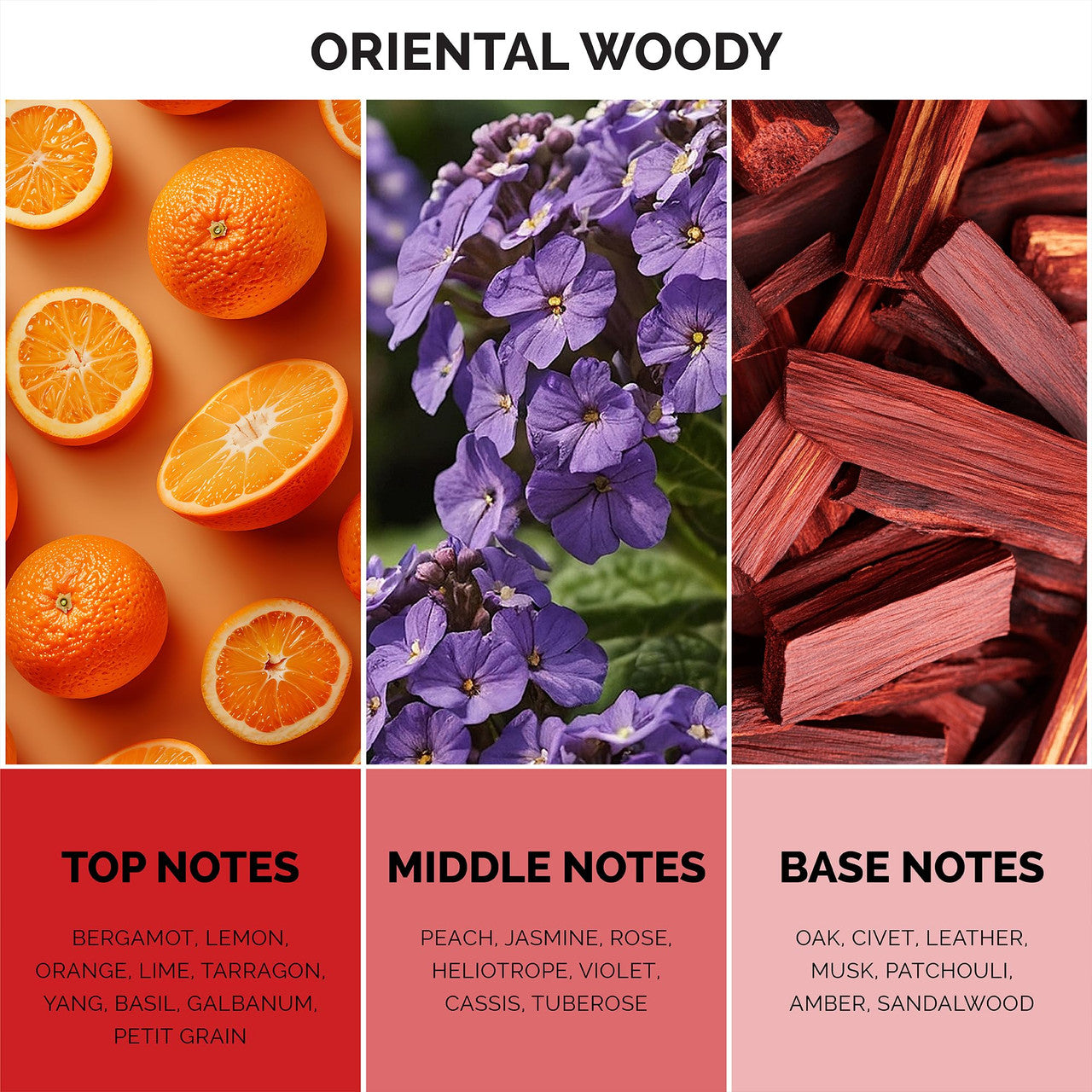 MAISON DE L'AVENIR ELECTRA ELIXIR EDP 3.4 U-2